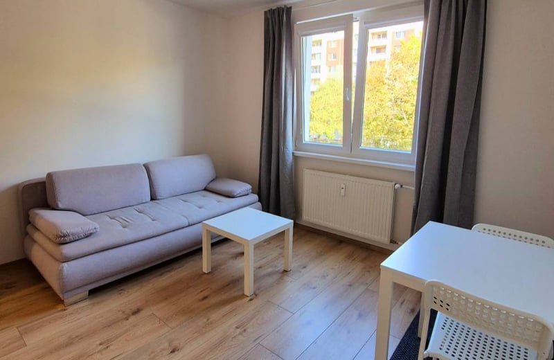 Аренда комфортной 1-комнатной квартиры-студии, 20 м², район Ружинов, Братислава, Словакия